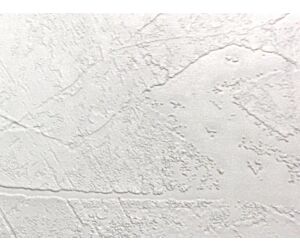 12 x 620 x 1220 mm Agnes One Step Pleisterwerk (4 st/pk)