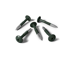 S&L Gevelschroeven A2 + bit (Torx ) 4.8 x 38 RAL 6009 (100 st/ds)