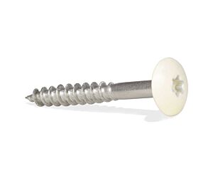 S&L Gevelschroeven A2 + bit (Torx ) 4.8 x 38 RAL 9001 (100 st/ds)