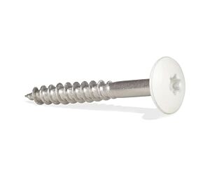 S&L Gevelschroeven A2 + bit (Torx ) 4.8 x 38 RAL 9016 (100 st/ds)