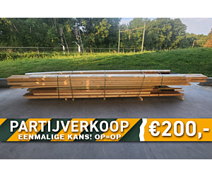 partij2.1.png